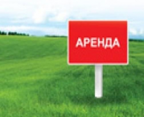 На Донбассе фермеры могут арендовать 350 земельных участков