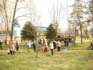 В Мариуполе прошёл общегородской субботник