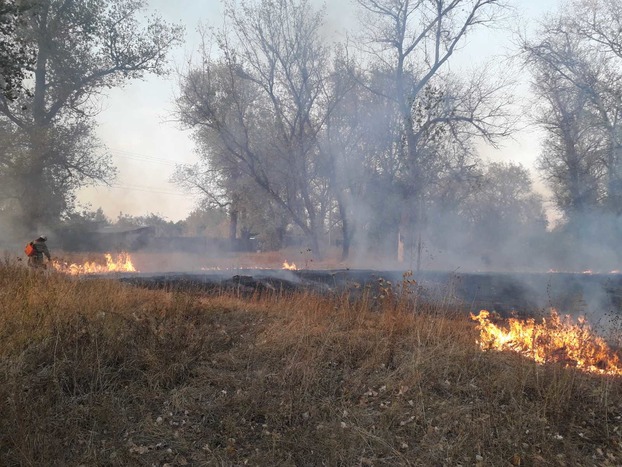 В Донецкой области школа и 30 домов едва не пострадали во время пожара В Донецкой области школа и 30 домов едва не пострадали во время пожара