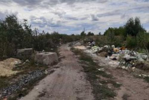 Жители Лисичанска могут принять участие в экологической  толоке