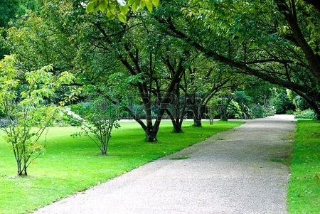 В Константиновке выделят 2 миллиона гривен на озеленение парков