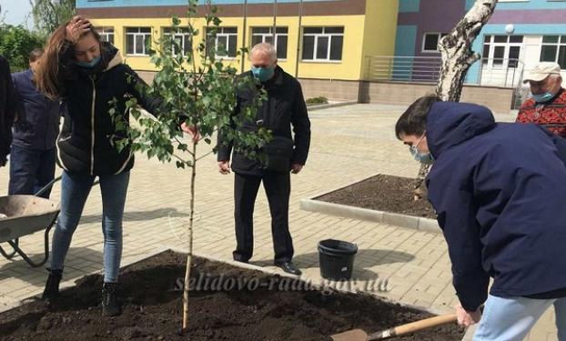 На территории будущей опорной школы в Селидово выпускники посадили  березу