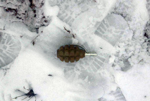 В поселке под Мариуполем школьники обнаружили гранату