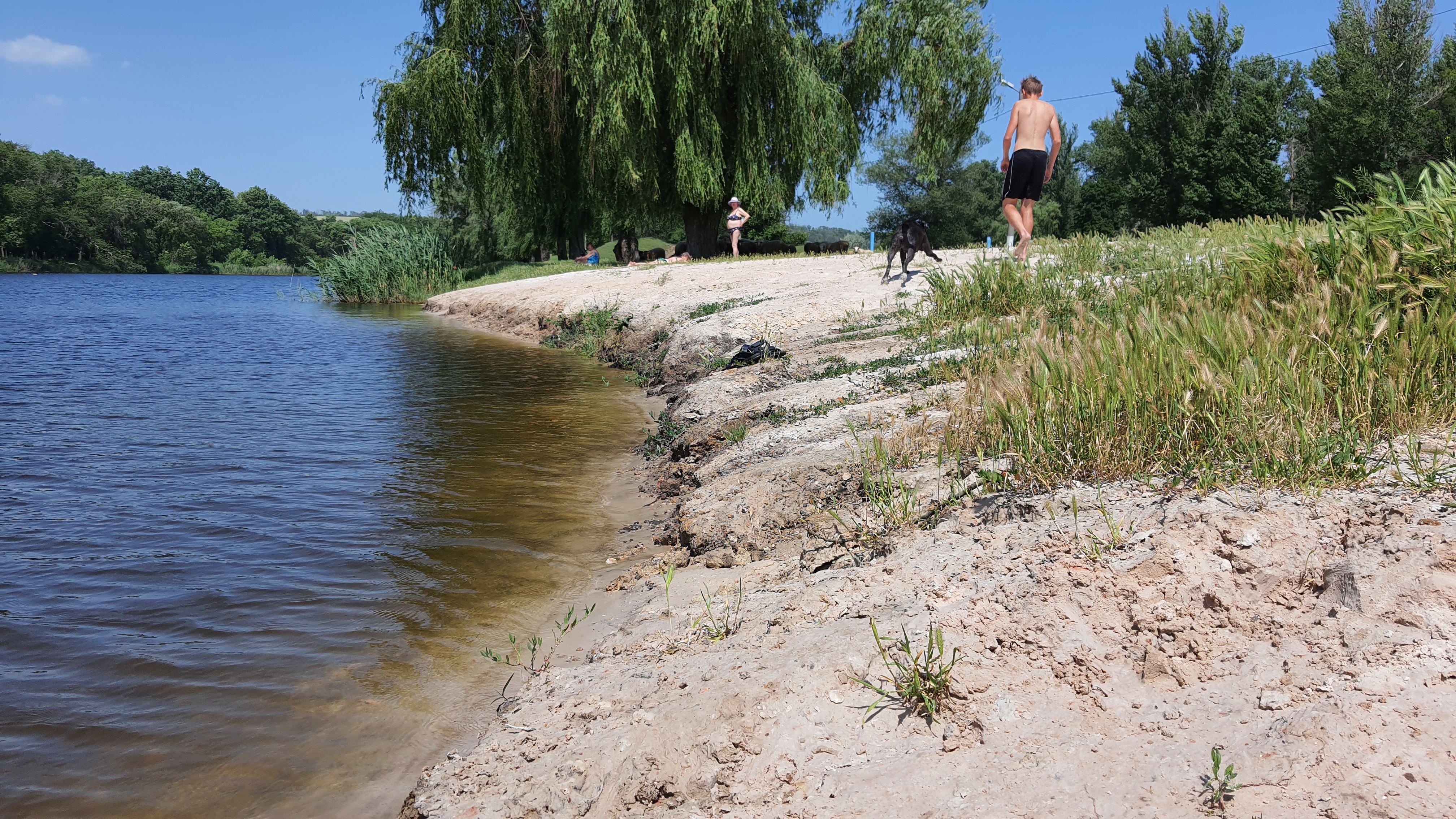 Качество воды в реках Дружковки проверили специалисты