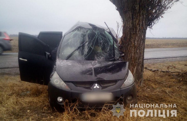На Донетчине авто въехало в дерево: водитель погиб на месте