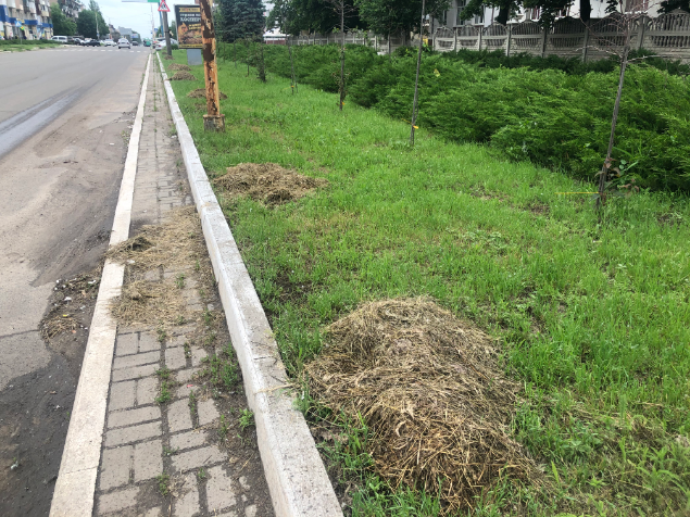 Владельцы домашних животных помешали вывезти траву коммунальщикам в Константиновке