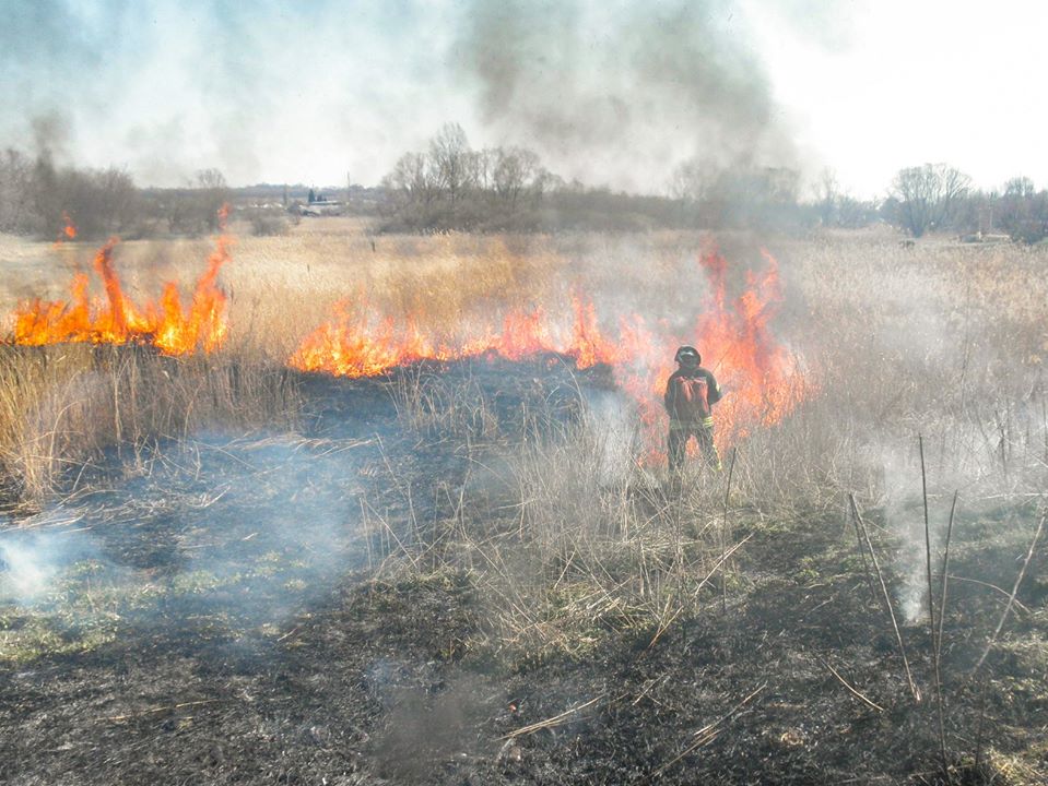 В Северодонецке выгорают луга