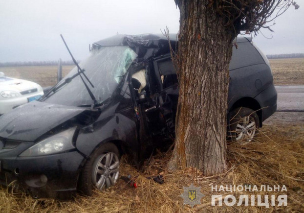 На Донетчине авто въехало в дерево: водитель погиб на месте
