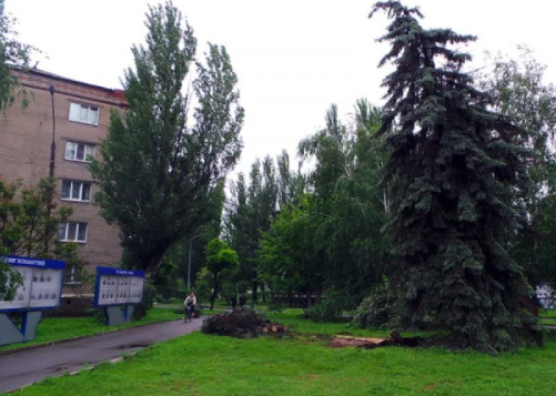 Непогода в Славянске: затоплены улицы, повалены деревья