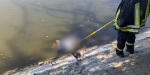 Рятувальники з річки дістали тіло жінки у Краматорську