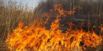 Спасатели предупреждают жителей Донбасса о пожарной опасности в ближайшие дни