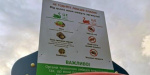 В Бахмуте запретили кормить местных лебедей
