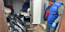 Як проходила евакуація із Костянтинівки волонтерами "Проліски" сьогодні, 31 жовтня