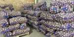 П’ятирічний рекорд побили ціни на картоплю 