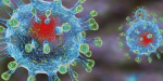 В ВОЗ считают, что коронавирус в 80% случаев не опасен