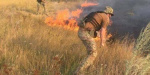 Ситуация с пожарами в  Луганской области становится угpожающей 