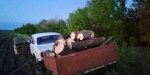 Полицейские Великой Новоселки поймали  черных лесорубов