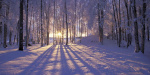 В Донецкой и Луганской областях 19 января будут сильные морозы