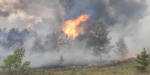 27 гектаров леса сгорело под Северодонецком