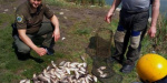  В Марьинском районе выявили четырех браконьеров