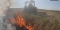 Донецька область втрачає врожай через російські атаки — ДСНС