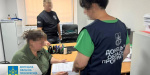 Донецька область: екс-чиновників лісгоспу підозрюють у незаконній вирубці дерев на 14,7 млн грн