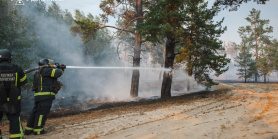 Триває ліквідація масштабної лісової пожежі на Лиманщині