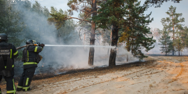 Триває ліквідація масштабної лісової пожежі на Лиманщині