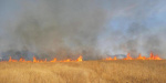 В Константиновском районе горело пшеничное поле