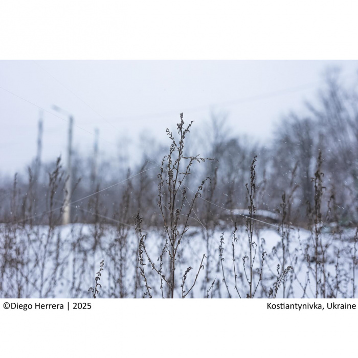 Костянтинівка, 12.2025