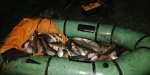 Возле Устиновки выловили электроудочников с полной лодкой пойманной ими рыбы