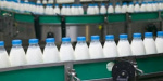 В Луганской области появится первый завод по переработке молока замкнутого цикла