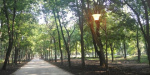 Парк имени Пушкина в Краматорске практически реконструирован