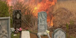В Курахово вандалы совершили  поджог кладбища