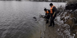 В Добропольском районе из водоема достали тело женщины