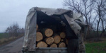 В Славянском районе предотвратили незаконную вырубку леса
