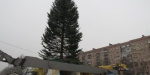 В Мариуполе установили 17-метровую ель 