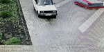 В Покровске вандалы прокатились  на автомобиле по аллеям и клумбам в парке «Юбилейный»