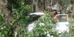 Житель Северодонецка угодил в ДТП из-за осы