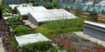 Чиновники Северодонецка предлагают делать огороды на крышах многоэтажек