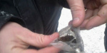 У пациента тубдиспансера в Славянске полицейские обнаружили наркотическое вещество