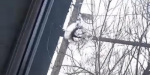 Выпущенная с полигона пуля пробила окно частного дома в пригороде Краматорска