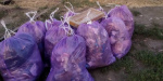 Новости Константиновки: гору мусора нашли в одном из районов города