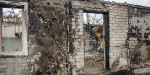 Погорельцы масштабного лесного пожара в Луганской области еще ждут помощи