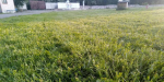 В Константиновке восстановили газон на стадионе «Рекорд»