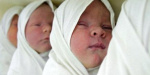 Константиновская громада пополнилась пятью новорождёнными за прошлую неделю