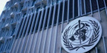 Замены ВОЗ не видит Генсек ООН