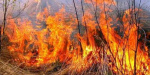  Усилиями военных и  спасателей  ликвидиpованы два пожара возле Марьинки