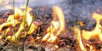 В Донецкой области  объявлена чрезвычайная пожарная опасность