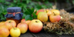 Перед Спасом в різних містах України подорожчали мед та яблука